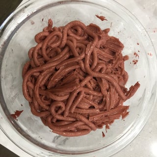 Bowl of Worms Anyone?