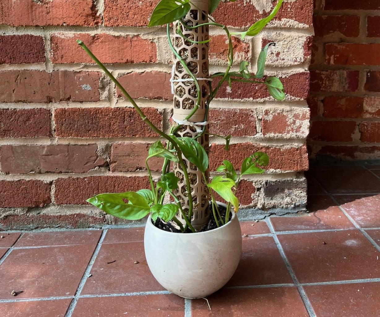 3D Printed Voronoi Moss Pole