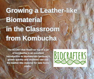 Growing a Leather-like Biomaterial in the Classroom From Kombucha