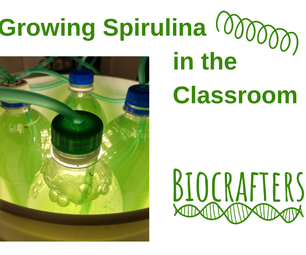 Growing Spirulina in the Classroom